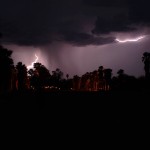Blitze über der Palmenallee